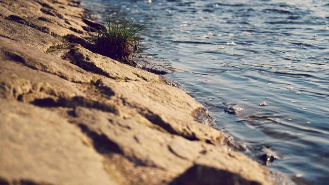 /detail/10076.html